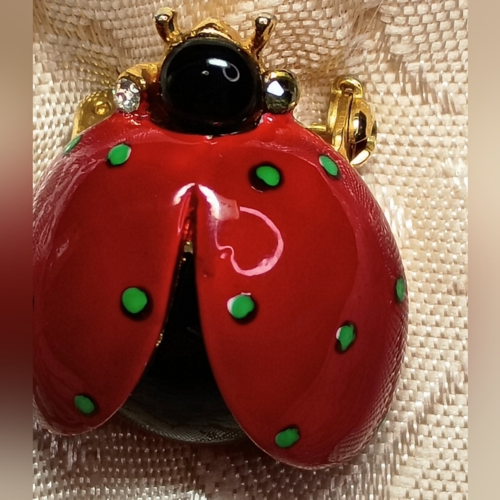 Red and Black Ladybug Brooch